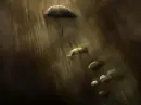 qqq