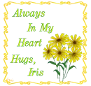 Iris Always In My Heart