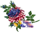support our troops