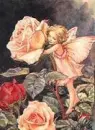 butterfly girl