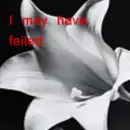 fall for you 2