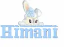 butterfly-name tag-Himani