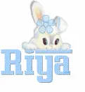 butterfly-name tag-Riya