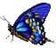 m7