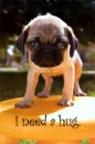 I need a hug
