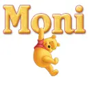 winnie pooh moni