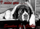 miss you My Angel