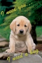 I need you 