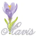 dragonfly flower mavis