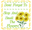 Don't Forget To Stop & Smell The Flowers