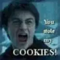 You Stole My Cookies!