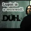 Lupin <3