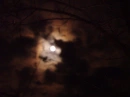 fool moon