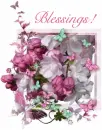 Blooms and Butterflies - Blessings