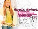 Hannah Montana Rock Star
