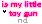My Little Toy Gun Song.