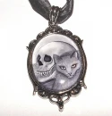 witchy's cat cameo
