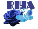 RIYA w/ Blue ROSE and BUTTER....