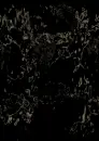 Seamless Background