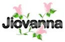 jiovanna pink flower