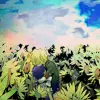 Katekyo Hitman Reborn