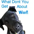 What Don't You Get About Woof