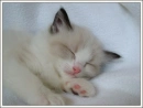 oh cute