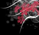 Red Flower with white swirls