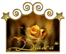 Diadra Golden Rose