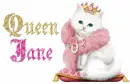 queen jane