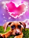 Puppy in love