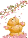 Happy Bear