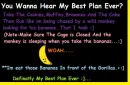 my plan
