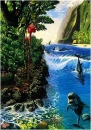 dolphinisland