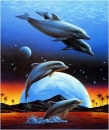 leapingdolphins