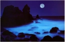 moonlitfog