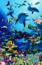 oceanlife