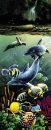 underwatersplendor