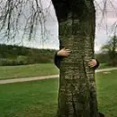 tree hugger