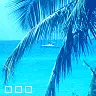 beach seen