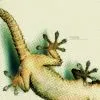 green lizard