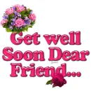 Bunch of Roses: Get well Soon Dear Friend
