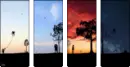 SummerPhotography