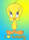 tweety