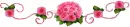 Pink Roses Bouquet