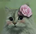 ROSE KITTY