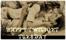 twilight tuesday