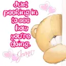Bear peeking in