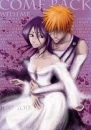 rukia n ichigo