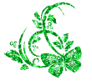 kwiaty flower